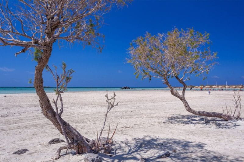 Chania: Elafonisi and Milia Mountain with Loungers and Lunch - Key points / Takeaways