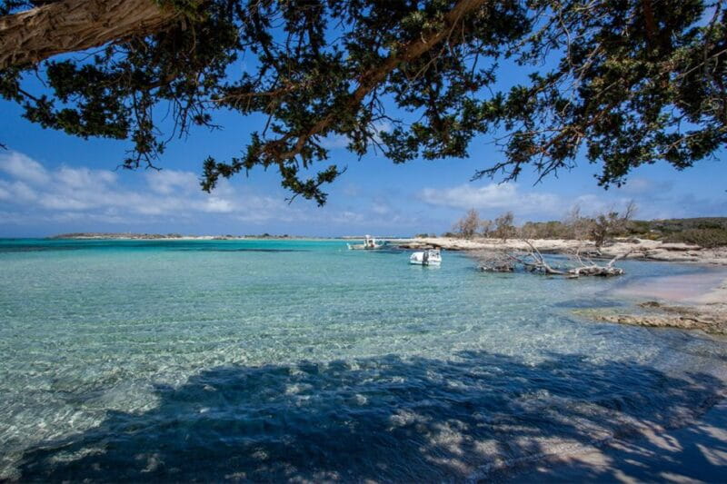 Chania: Elafonisi and Milia Mountain with Loungers and Lunch - The Small-Group Advantage and Personalized Service