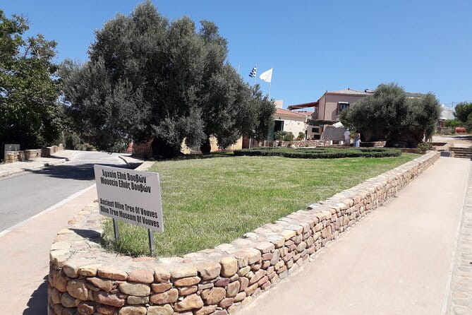 Chania Old Town - Millennial Olive Tree - Olive Oil Mill - The Sum Up: Is It Worth It?