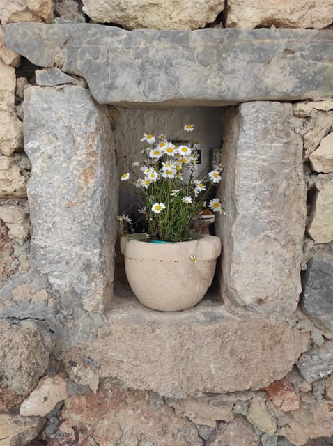 Chania: Private Walking Tour: History, Sights, Food & Senses - Introduction: A Deep Dive into Chanias Charm