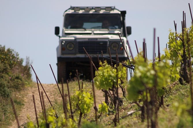 Chania Shore Excursion Off Road Vineyard and Winery Tour Half Day - Frequently Asked Questions