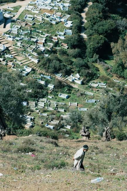 Chania: Shore Excursion to Agia Triada Monastery & Chania - Discovering Crete’s Monastic and Urban Charm in Short Form