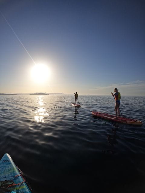 Chania: Stand-up Paddleboard Coastal Sunset Experience - Price and Logistics: Is It Worth It?