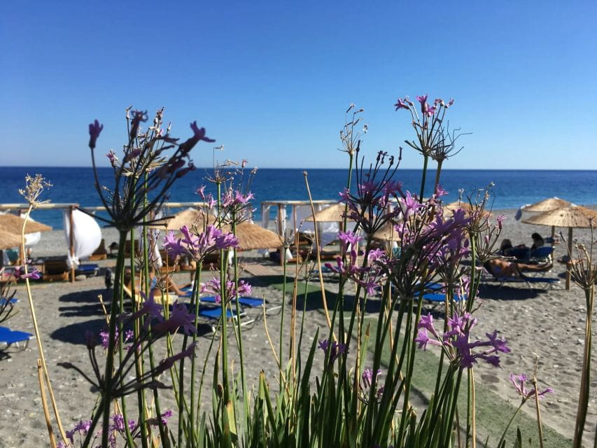 Chania to Elafonissi Beach/ Cretan Villages Private Transfer - Customer Reviews