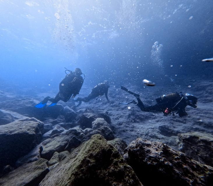 Chania | Try Scuba Diving | Private Introduction Dive - The Journey to the Dive Site: Sheltered and Stunning