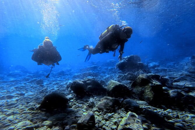 Chania | Try Scuba Diving | Private Introduction Dive - Who Should Book This?