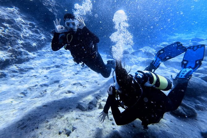 Chania | Try Scuba Diving | Private Introduction Dive - Price and Logistics: What You Need to Know
