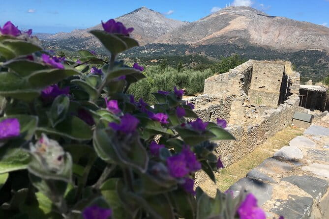 Chania White Mountains Private Tour: From Sea to Summit! - Key Points / Takeaways