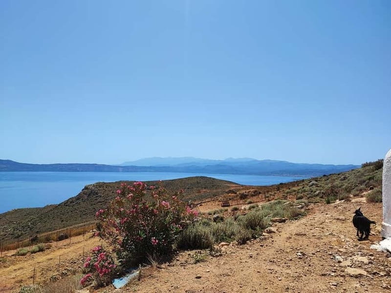 Chania:Balos&Falassarna Private Jeep Safari + Lunch&Loungers - The Value of Expert Guides and Local Knowledge