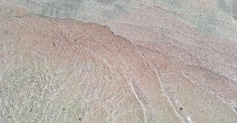 Chania:Elafonisi,Chrisoskalitisa & Sfinari Private Tour - Exploring Crete’s Hinterland and Iconic Sites