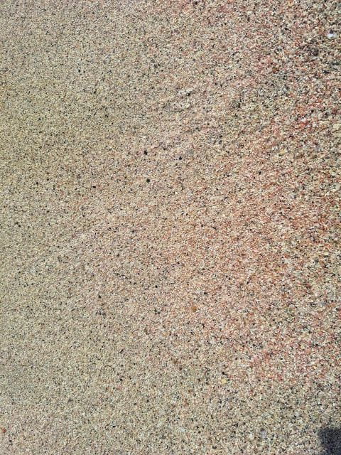 Chania:Elafonisi,Chrisoskalitisa & Sfinari Private Tour - The Practicalities: Logistics, Cost, and Value