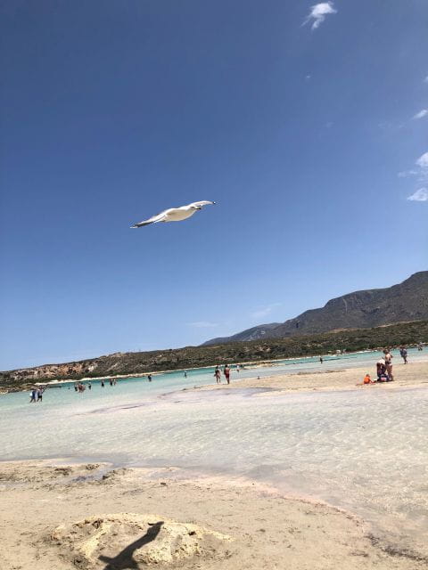 Chania:Private Tour to Elafonisi & Chrisoskalitisa Monastery - Key Points