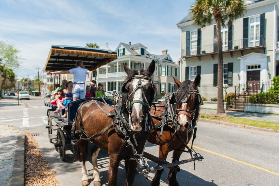 Charleston: 1-Hour Carriage Tour of the Historic District - Key Points