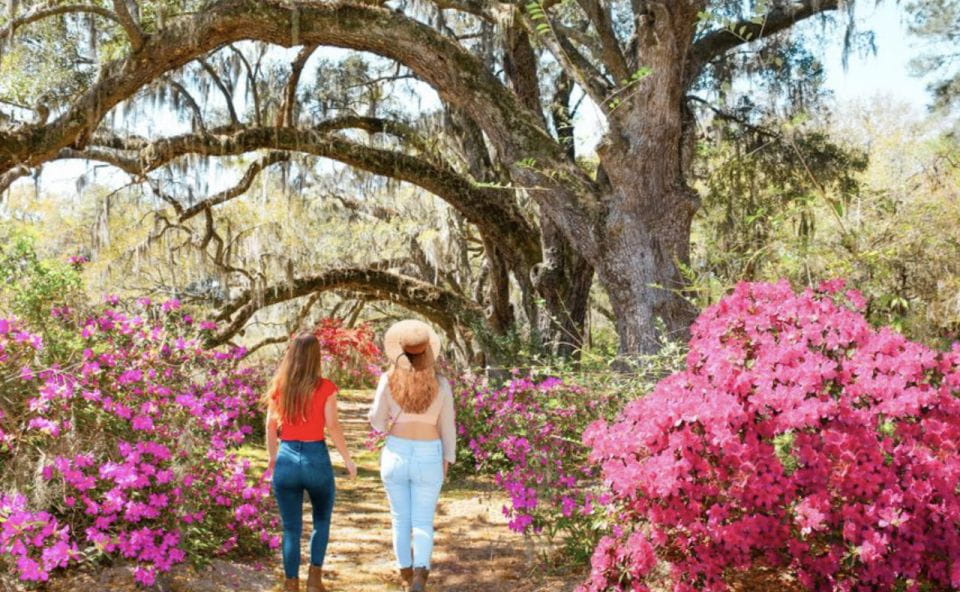 Charleston: Historic City Tour & Magnolia Plantation Combo - Itinerary