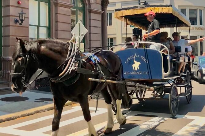 Charleston Horse & Carriage Historic Sightseeing Tour - Additional Information