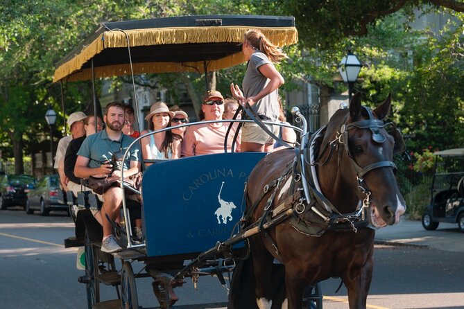 Charleston Horse & Carriage Historic Sightseeing Tour - Accessibility and Cancellation