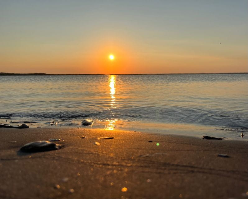 Charleston: Morris Island Dolphin Cruise With Beachcombing - Frequently Asked Questions