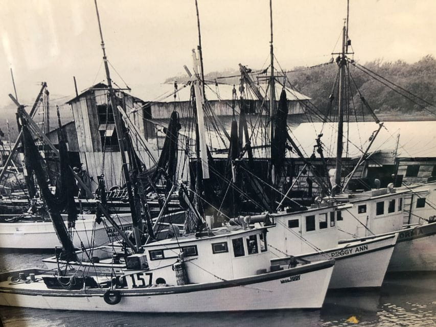 Charleston: Shem Creek Culture Tour - What to Bring and Suitability