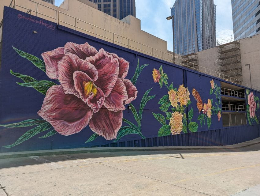 Charlotte: Self-Guided Scavenger Hunt Walking Tour - Customer Ratings