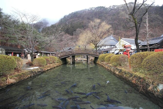 Chartered Private Tour - Tokyo to Nikko, Toshogu, Edo Wonderland - Booking and Cancellation Policy