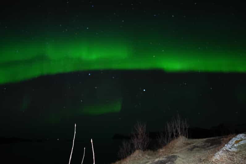 Chase the Magic of the Northern Lights in Tromsø Norway - Price and Logistics: How Good Is the Value?