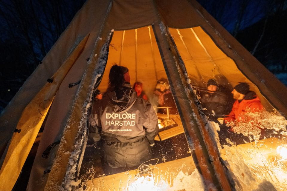 Chasing the Dancing Aurora in Our Winter Camp in Harstad - Northern Lights Viewing Opportunities