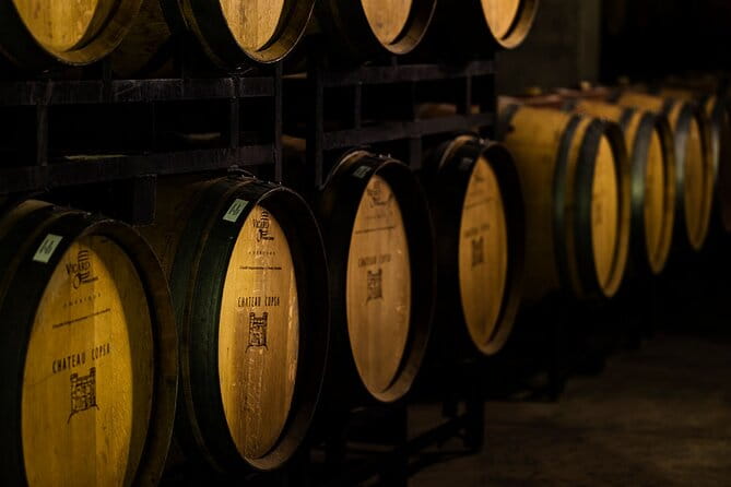 Chateau Copsa Wine Tasting Tours & Activities - Exploring Chateau Copsa: An In-Depth Look