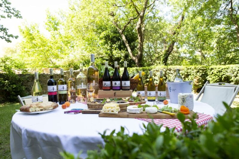 Château de Luc: Unique visit and wine tasting - Key Points / Takeaways