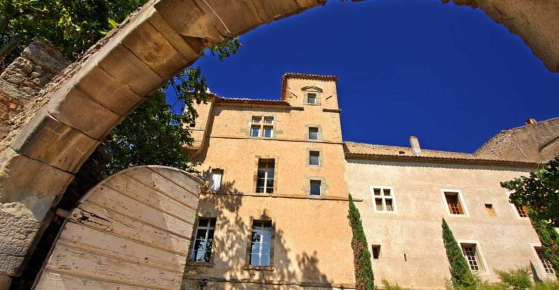 Château de Luc: Unique visit and wine tasting - Discovering the Historic Cellars and Family Roots
