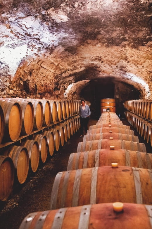 Château de Luc: Unique visit and wine tasting - Who Will Love This Experience?
