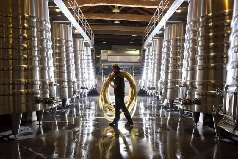 Château Olivier: One Hour Vineyard Tour with Wine Tasting - An In-Depth Look at Château Olivier’s Experience