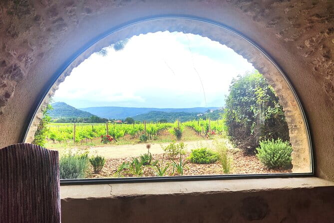 Chateauneuf du Pape and Luberon vineyard tour from Avignon - Who Will Love This Tour?