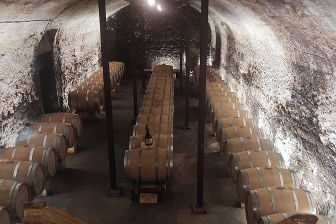 Chateauneuf du Pape and Luberon vineyard tour from Avignon - Who Should Consider This Tour?