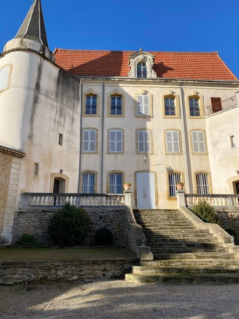 Châteauneuf-du-Pape: Full-day wine tour with sommelier - The Role of the Guide and Tour Logistics
