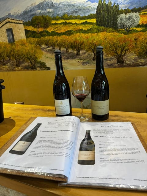 Châteauneuf-du-Pape: Full-day wine tour with sommelier - Who Will Enjoy This Tour?