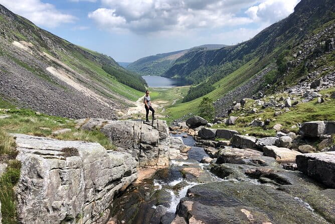 Chauffeur Driven Tour of Beautiful County Wicklow - Who This Tour Is Best For