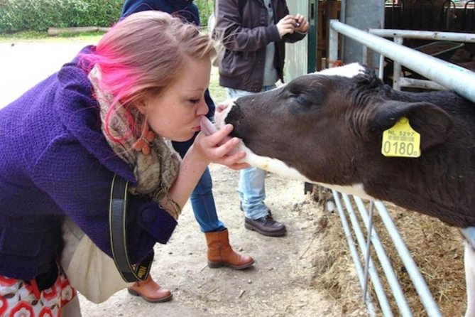 Cheese, Canals & Windmill Countryside E-Bike Tour Amsterdam - Meeting Point and Directions