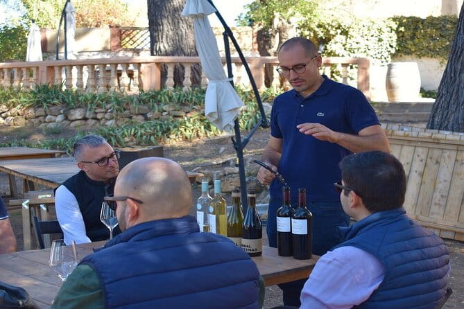Cheese Factory Workshop with Wine Tasting in Requena, Valencia - Who Would Love This Tour?