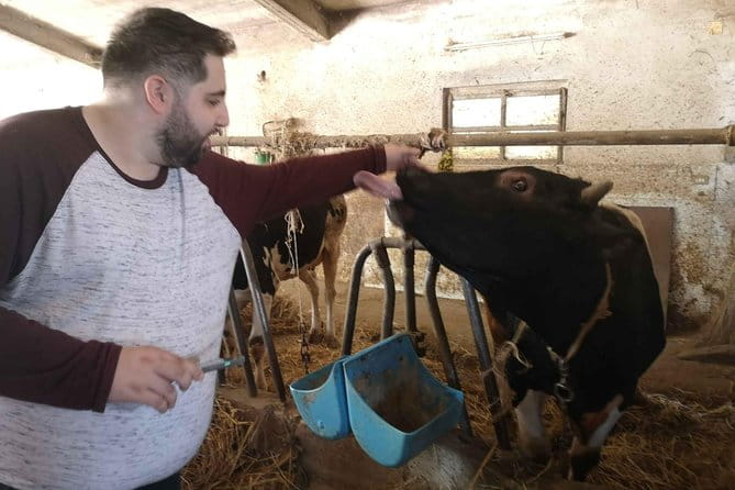 Cheese & ricotta making  Teramo (Abruzzo) Italy - Final Thoughts: Is It Worth It?