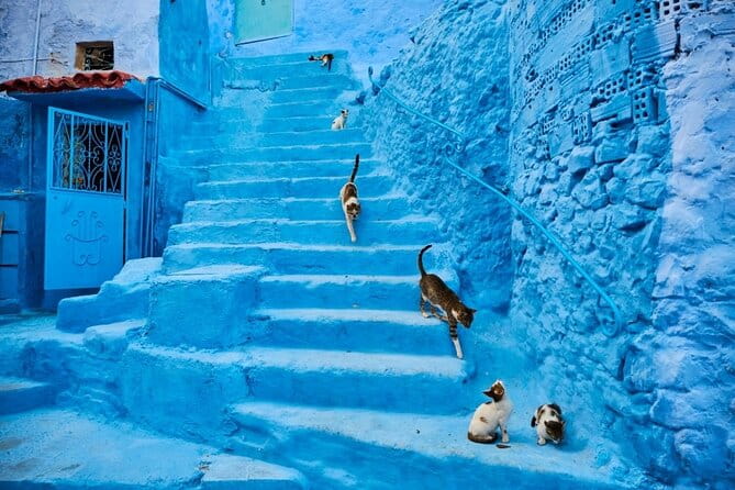 Chefchaouen Day Trip from Seville - Transportation, Timing, and Practical Tips