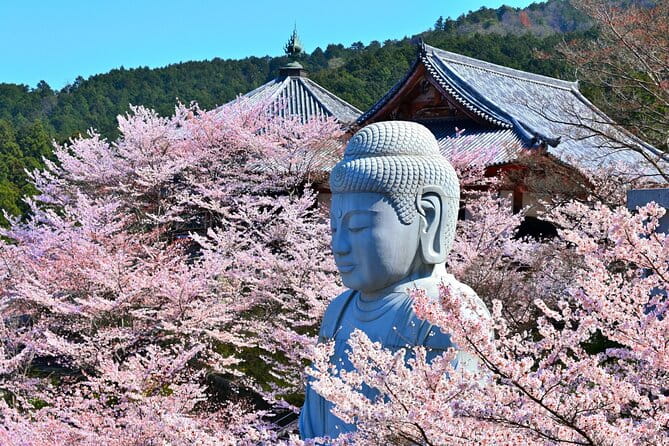 Cherry Blossom Buddha and Mt.Yoshino With Strawberry Picking Tour - Exploring Mount Yoshino