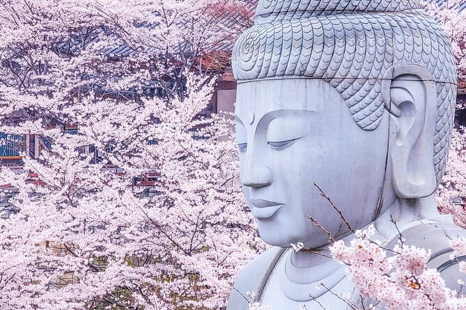 Cherry Blossom Buddha and Mt.Yoshino With Strawberry Picking Tour - Tsubosaka Temple and the Cherry Blossom Buddha