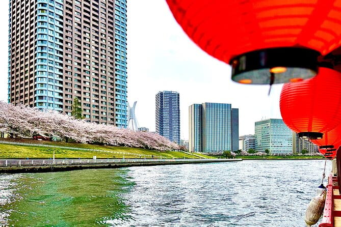 Cherry Blossom Cruise on Tokyo Bay Lunch/Dinner/ Tea/Japan Show - Cruise Schedule and Meal Options