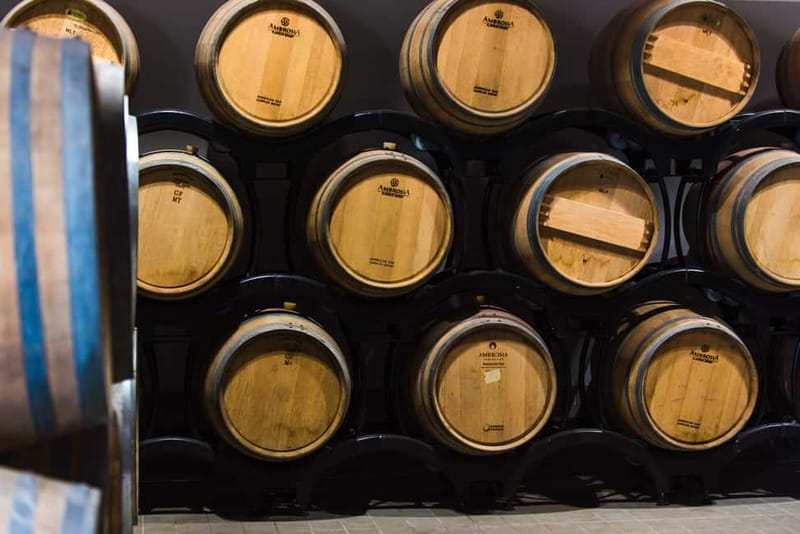 Chianciano Terme: Guided Winery Tour & Wine Tasting - Discovering Poggio del Moro: A Small-Scale Tuscan Gem