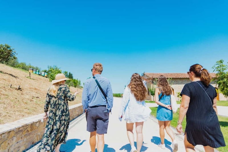 Chianciano Terme: Guided Winery Tour & Wine Tasting - Price and Value Analysis