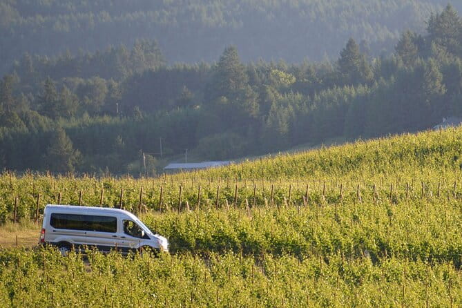 Chianti and Supertuscan Private tour with lunch from Livorno - The Value: Is It Worth the Price?