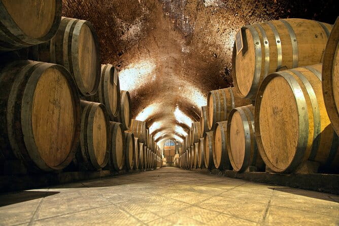 Chianti and Supertuscan Private tour with lunch from Livorno - Who Should Book This Tour?