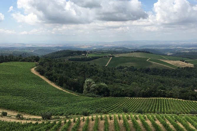 Chianti Classico E-Bike Tour - Tour Highlights and Stops