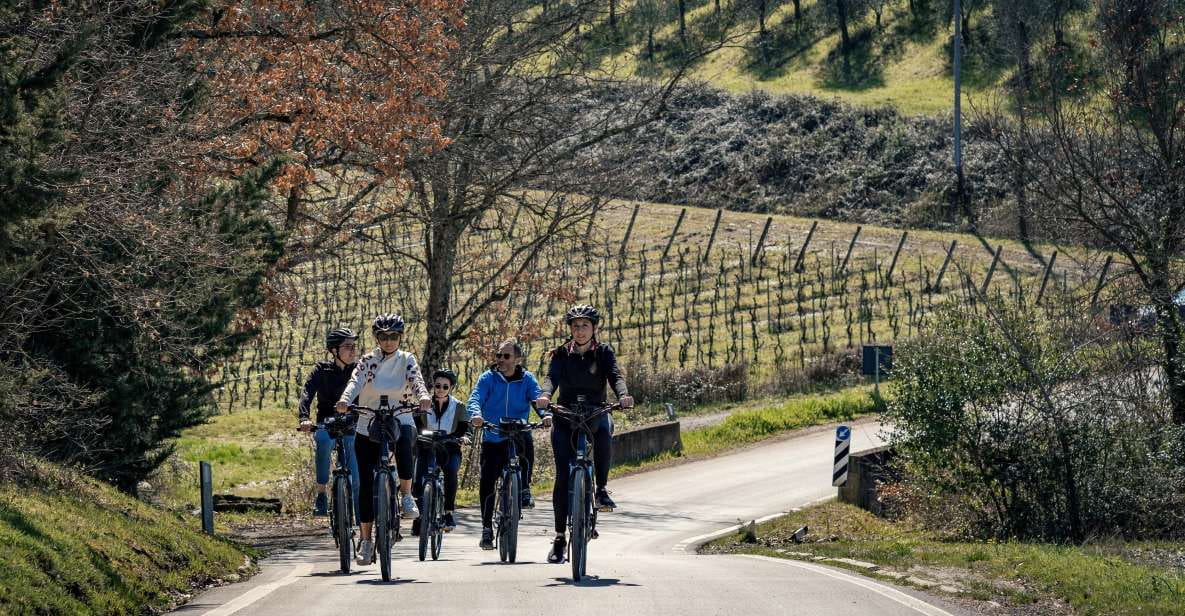 Chianti Classico: E-Bike Tour With Lunch and Tastings - Key Points