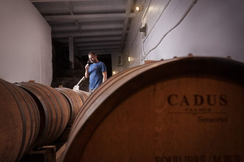 Chianti Colli Fiorentini Winery Tour 18km from Florence - Logistics and Practicalities: What You Should Know